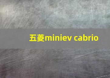 五菱miniev cabrio